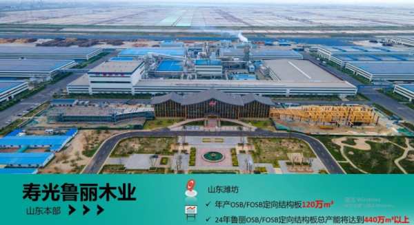 “从趋势到市场”——2024鲁丽木业品牌推介会在粤举行！