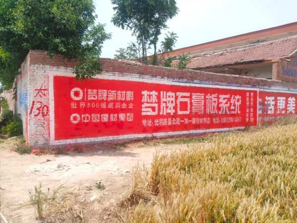 梦之星｜一加一装饰材料： 深耕县乡市场，让绿色建材走进千家万户！