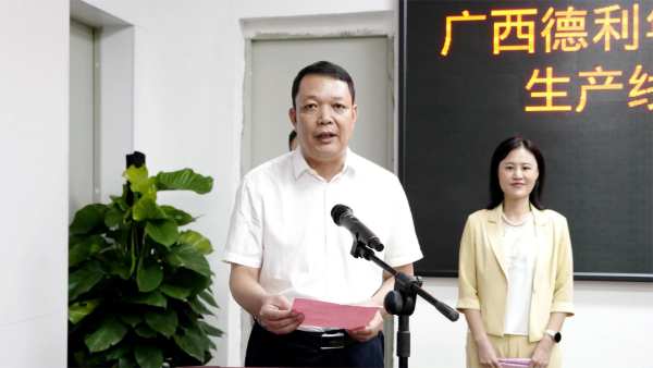 广西德利年产约60万m³FOSB、OSB生产线项目首板下线