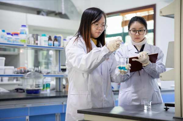 兔宝宝汇聚人才力量，激发企业持续发展动能