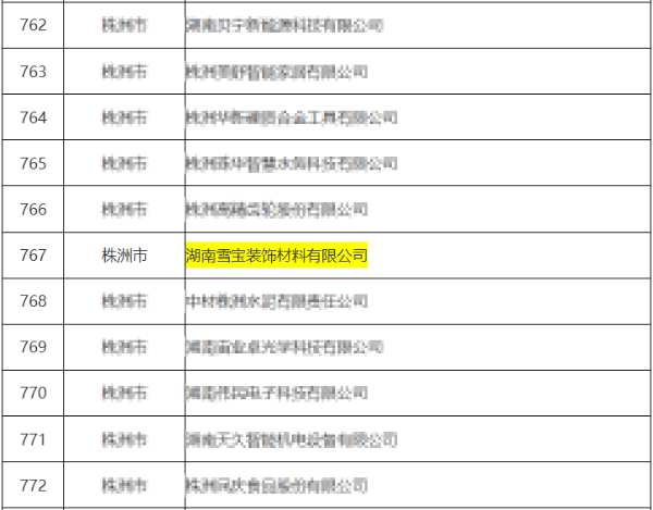 喜报丨雪宝荣获2024年省级【专精特新】中小企业认定