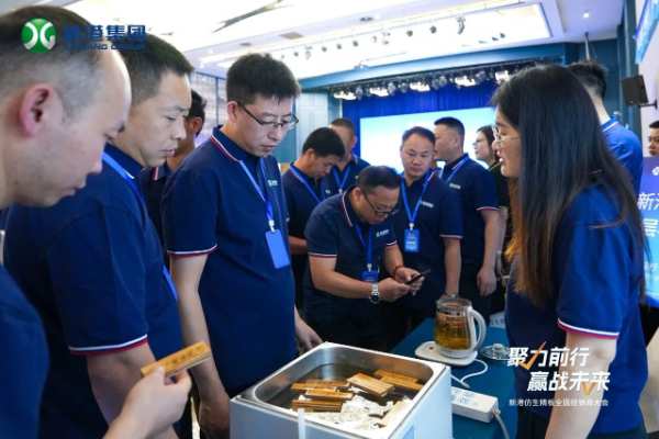聚力前行，赢战未来——新港仿生精板2024年全国经销商大会回顾