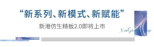 聚力前行，赢战未来——新港仿生精板2024年全国经销商大会回顾