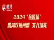 揽获殊荣 | 2024“金匠榜”鹏鸿双榜问鼎，实力加冕