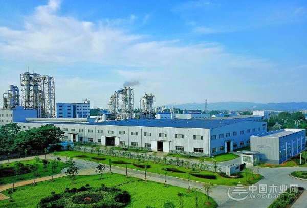 绿洲木业：独特工艺赋能优质原材 独具匠心打造国色天香