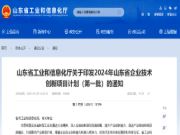 鲁丽木业新型环保阻燃定向结构板研发项目入选2024年山东省首批技术创新计划名单