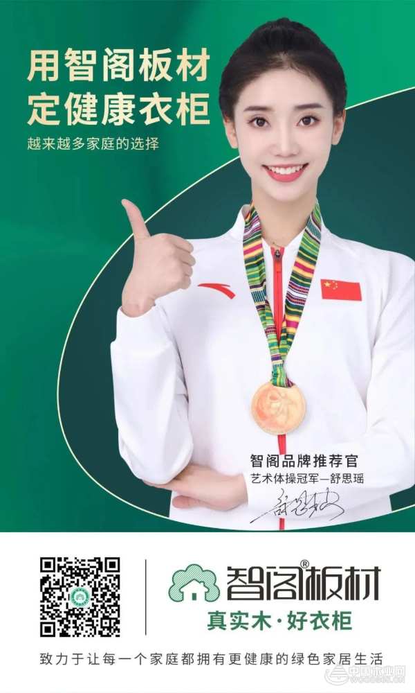 双城联动周年庆 | 智阁板材多重优惠赋能终端