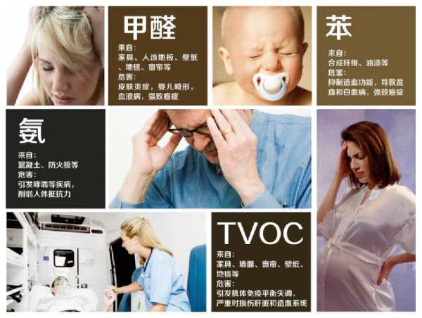雪宝板材为什么健康环保？因为我们是这样做的……