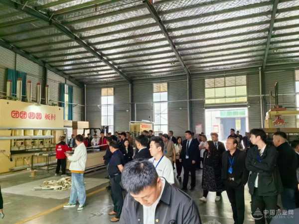 变革变新，持续增量！2024团团圆圆家具板新品推荐会圆满举行！