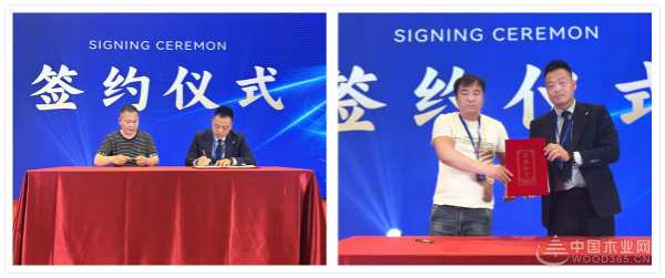 变革变新，持续增量！2024团团圆圆家具板新品推荐会圆满举行！