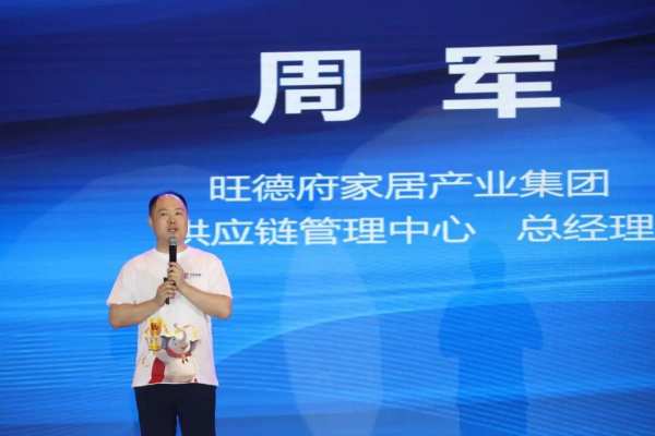 旺德府集团品牌战略发布暨2024年度全国合作商峰会圆满举行
