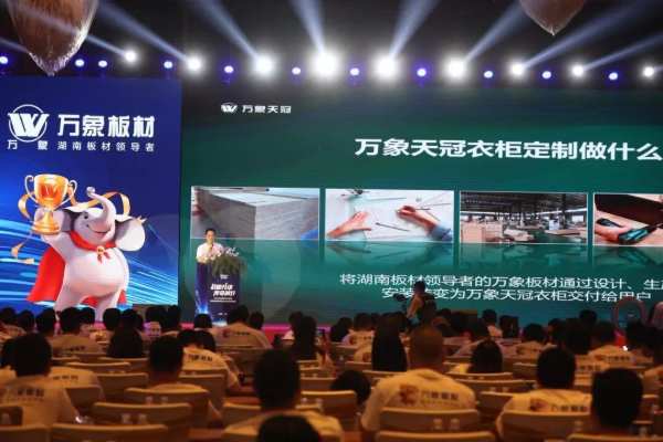 旺德府集团品牌战略发布暨2024年度全国合作商峰会圆满举行