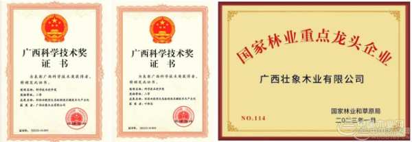 经年流转千古韵  匠心熔铸“香杉魂”  ——访广西壮象木业有限公司董事长叶新忠