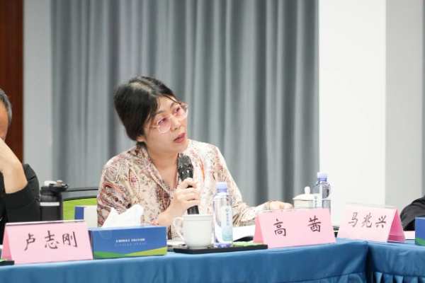《绿色产品评价 人造板和木质地板》《人造板及其制品中有机碳的测定方法》国家标准研讨会在新港集团隆重举办