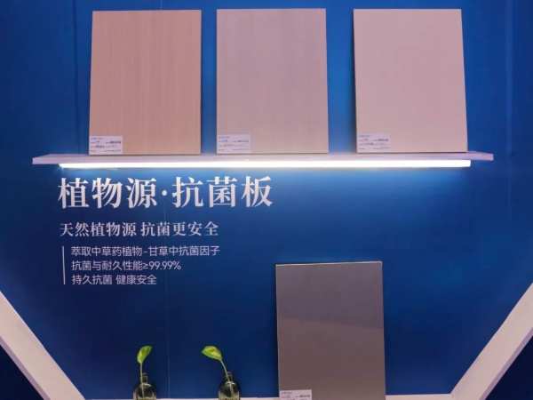 聚势湘城 和融共赢丨2024莫干山板材湖南区域核心战略会暨新品品鉴会圆满举办！