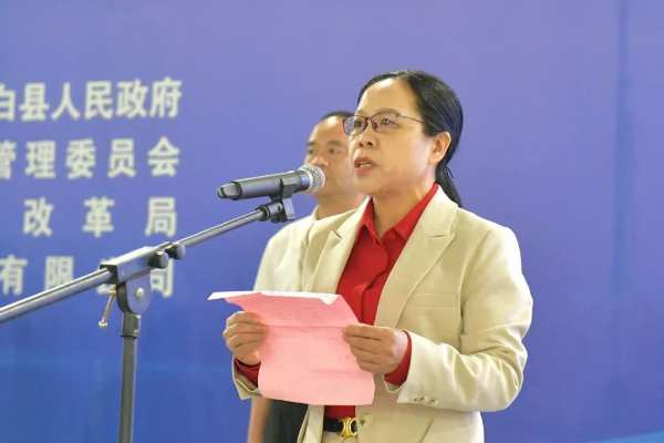 广西德利年产60万立方FOSB、OSB生产线闪耀启航！