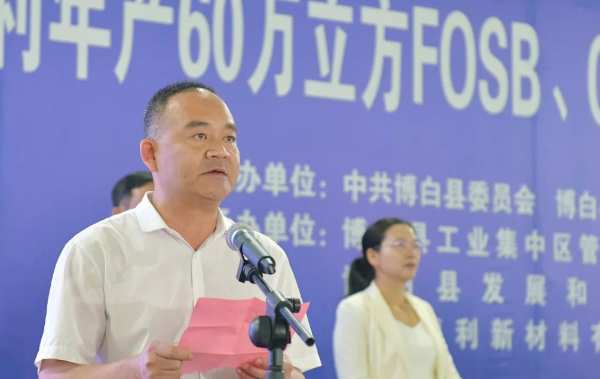 广西德利年产60万立方FOSB、OSB生产线闪耀启航！