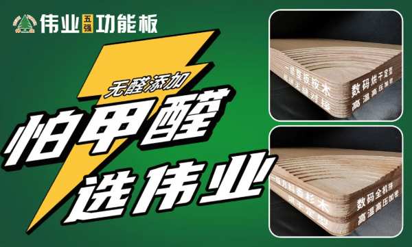 伟业牌板材2024年度哈尔滨建材展圆满收官！