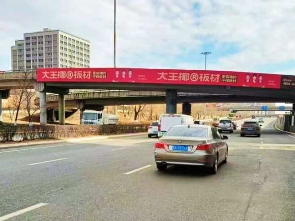 大王椰亮相哈尔滨建材展，助力冰城美好人居