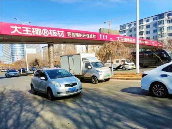 大王椰亮相哈尔滨建材展，助力冰城美好人居