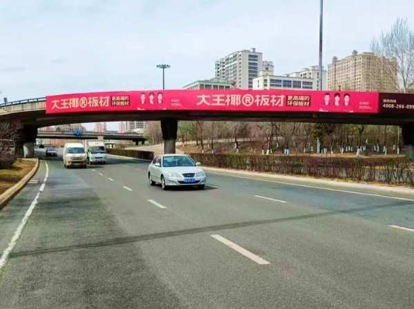 大王椰亮相哈尔滨建材展，助力冰城美好人居
