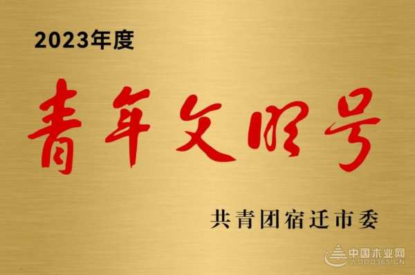 奋进新征程 团团圆圆荣获宿迁市2023年度“新青年文明号”称号