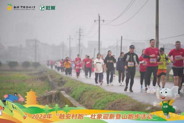 不负春光！千人开跑！“融安村跑”壮象迎新登山跑步活动圆满举行