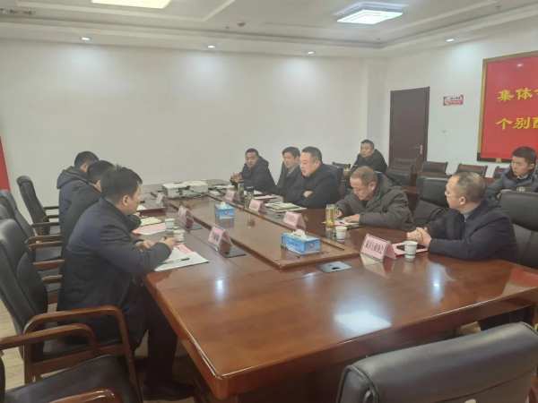 福汉木业发展责任有限公司李赟一行来红安高新区考察
