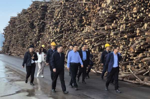 鲁丽集团董事长薛茂林赴江西鲁丽木业考察
