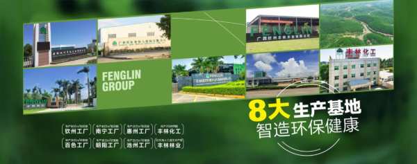 探索人造板产业 丰林集团在宏伟蓝图上继续奋力擘画