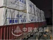 名闻板材：只做好板材，传递生活好品质！