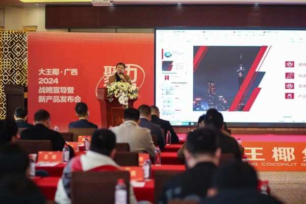 聚力·破局 | 大王椰广西2024战略宣导暨新品发布会圆满结束