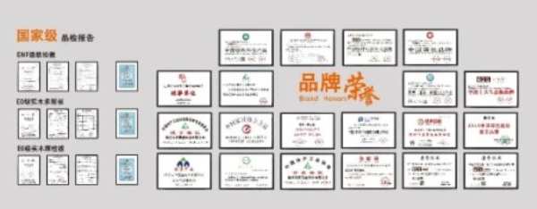 你好，我是鼎立达，重新认识一下我吧！