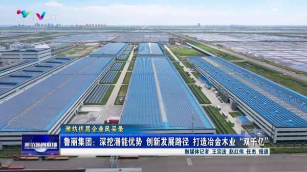 鲁丽集团：深挖潜能优势 创新发展路径 打造冶金木业“双千亿”