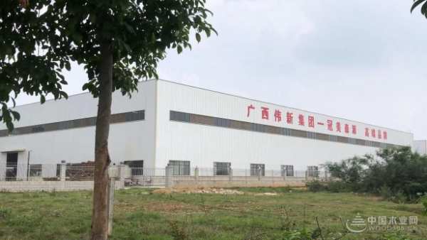 蓄势待发·共绘精彩！广西伟新木业投资集团财务部举行2023年冬季团建活动！