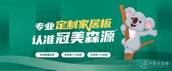 蓄势待发·共绘精彩！广西伟新木业投资集团财务部举行2023年冬季团建活动！