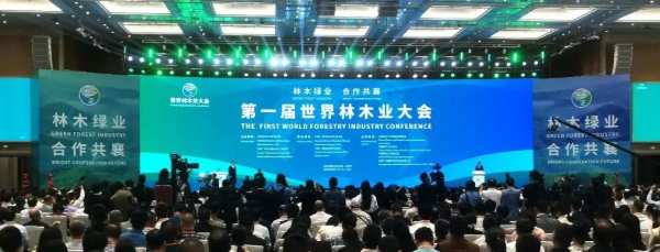 林木绿业，合作共襄丨丰林集团参加第 一届世界林木业大会