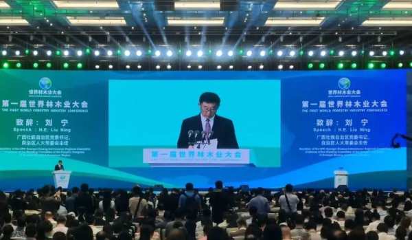 林木绿业，合作共襄丨丰林集团参加第 一届世界林木业大会
