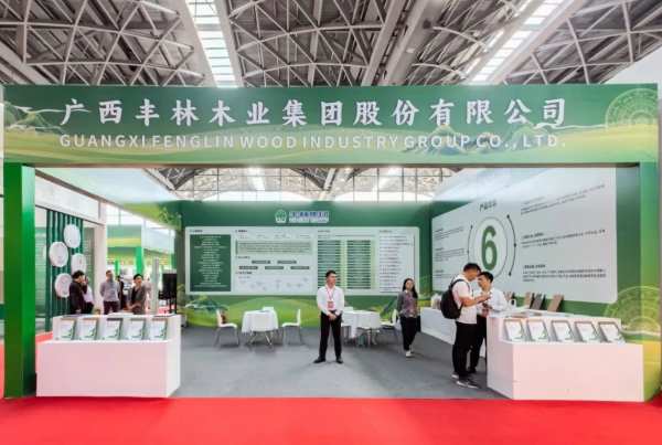 林木绿业，合作共襄丨丰林集团参加第 一届世界林木业大会