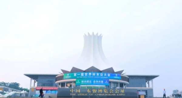 林木绿业，合作共襄丨丰林集团参加第 一届世界林木业大会