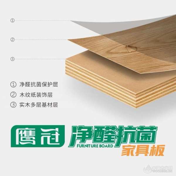 不止环保，更有多重守护！鹰冠还您一个舒适空间！