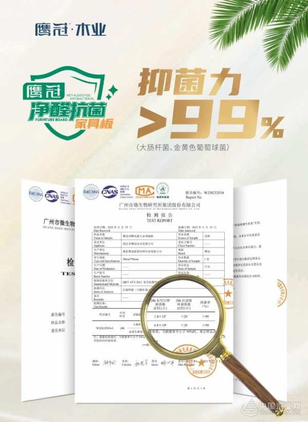 不止环保，更有多重守护！鹰冠还您一个舒适空间！