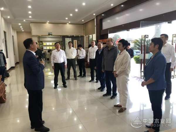 广西自治区领导一行调研考察壮象木业