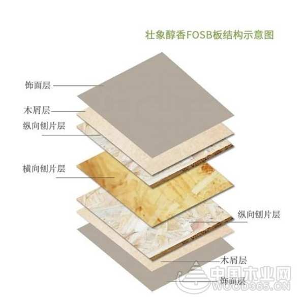 展位号A2馆TB13 壮象与您相约武汉定制家居展览会