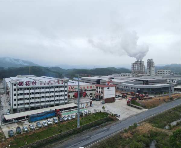 2024桃花村生态板新花色即将面市 敬请期待