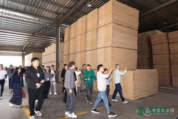 大商思维·遇见未来 金利源品牌高质量发展大会暨抗菌抗病毒新品发布会隆重举行