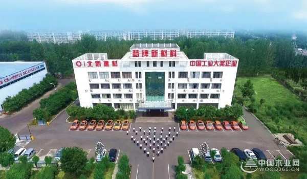 行业影响力进一步提升！2023中国板材十大品牌绝对是家装的首 选！