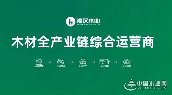 行业影响力进一步提升！2023中国板材十大品牌绝对是家装的首 选！