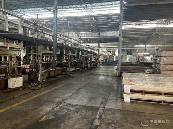 助力焕新颜 广西伟新木业投资集团开展“环境清洁日”活动