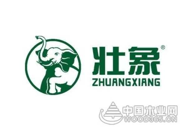 金九银十家装高峰期 选2023生态板十大品牌就对了